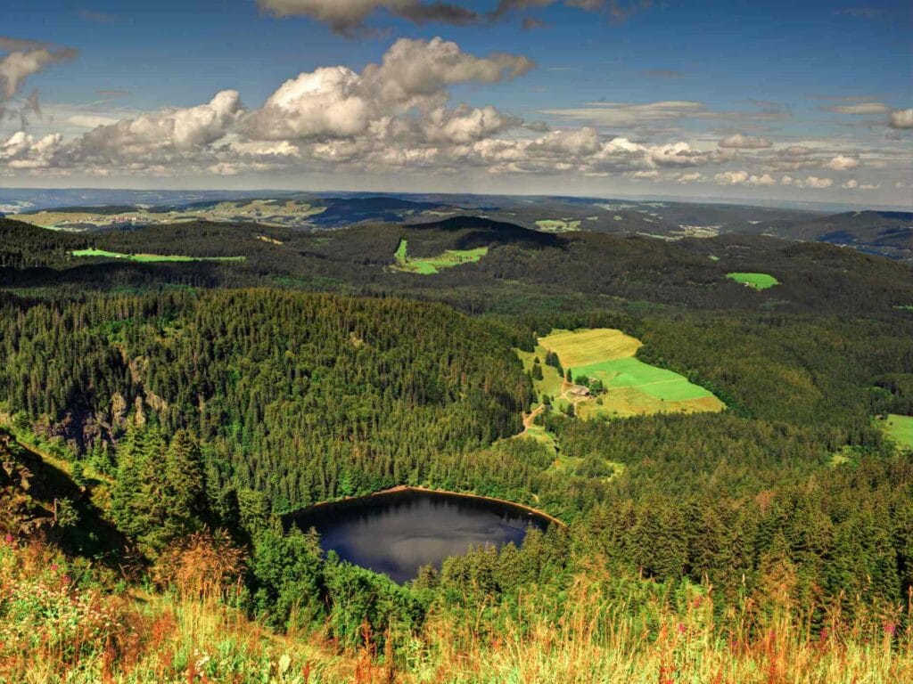 vue depuis le Feldberg