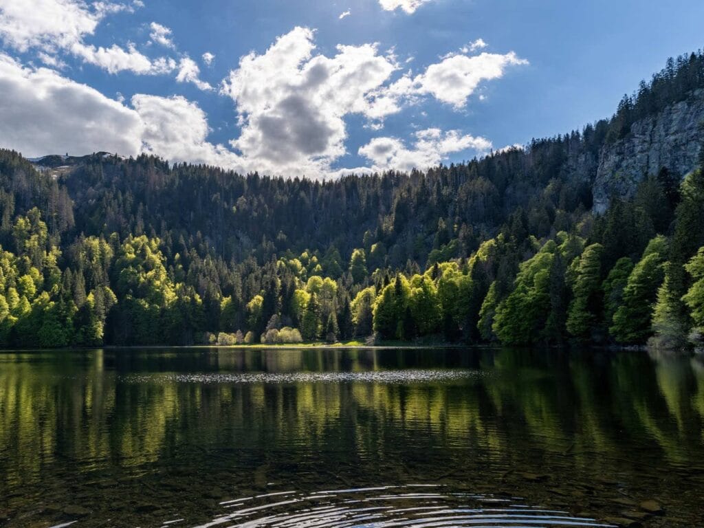 vue sur le lac Feldsee et les montagnes alentour