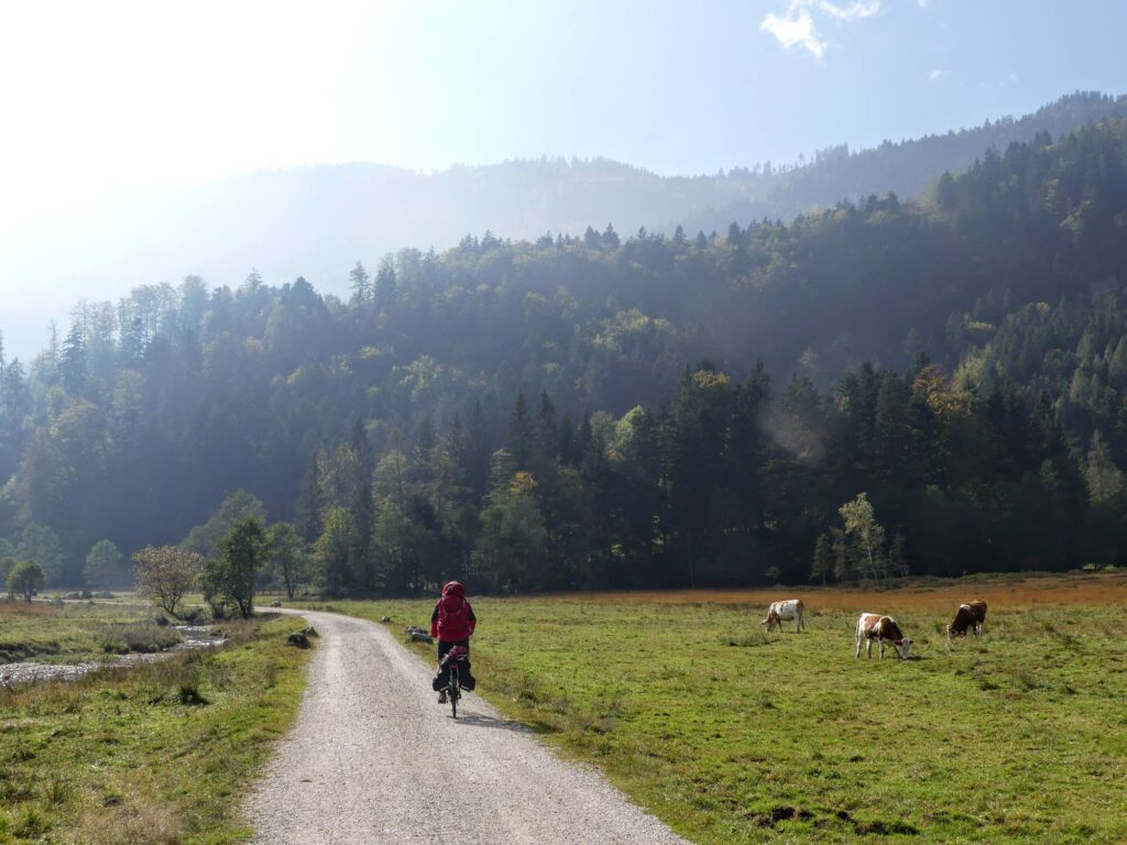 cycliste à vélo dans un paysage de prairies d'altitude