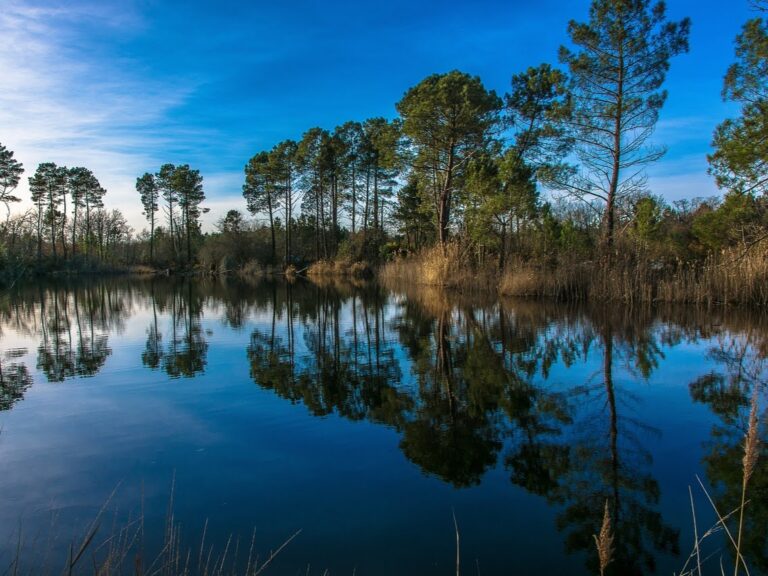 Bassin d'Arcachon