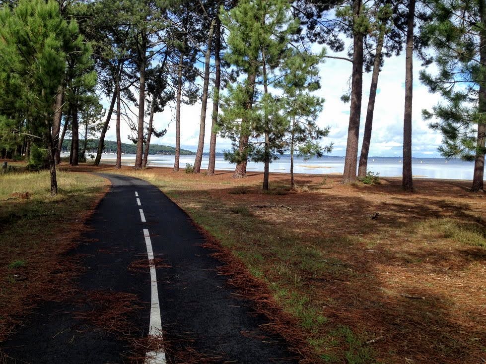 voie verte dans les pinèdes
