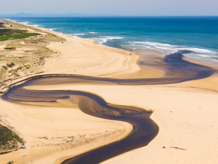 embouchure d'une rivière dans l'océan