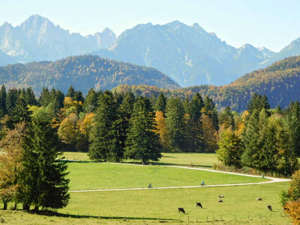 cyclists in bavaria