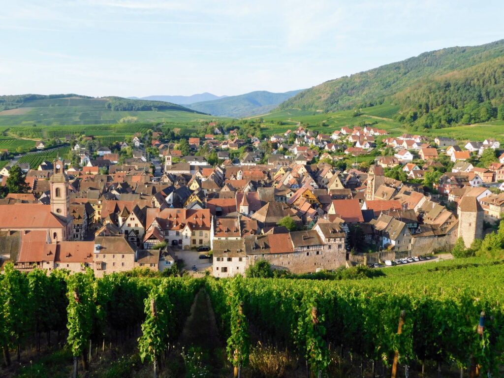 point de vue sur le village de Riquewihr