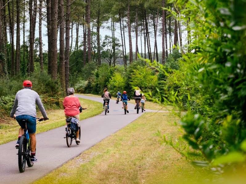 cyclistes dans les Landes