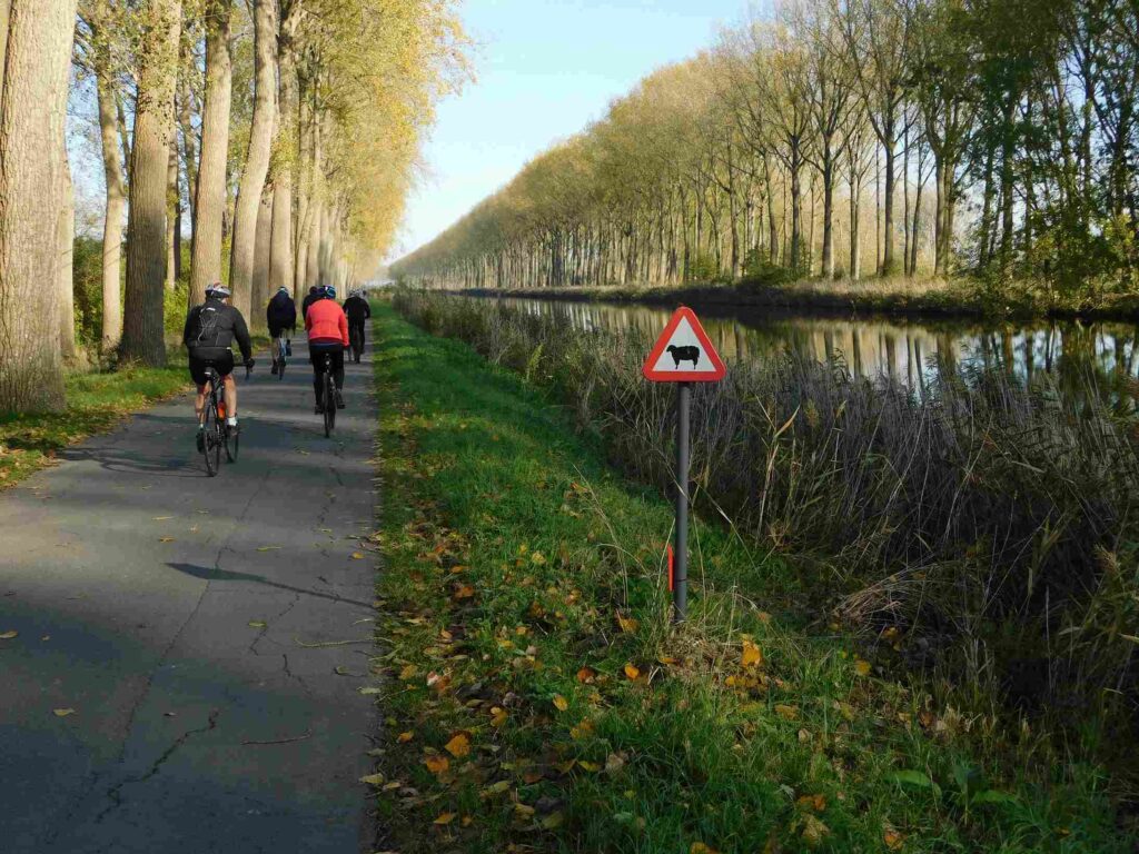 Piste cyclable le long du canal