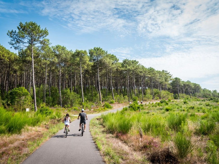 cyclistes sur la Vélodyssée dans les Landes