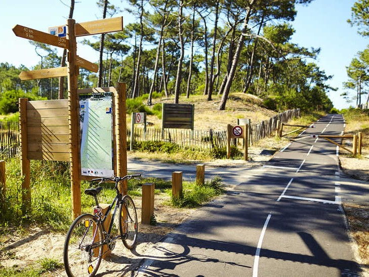 belle piste cyclable dans les Landes