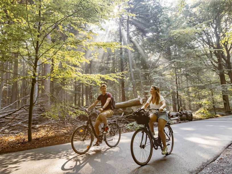 2 cyclistes dans une jolie forêt