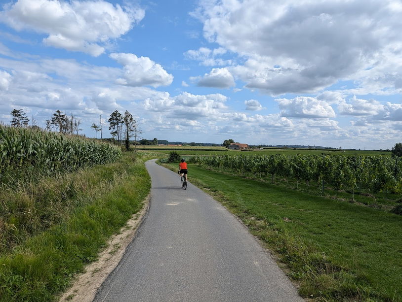 cyclistes sur les campagnes de Flandre